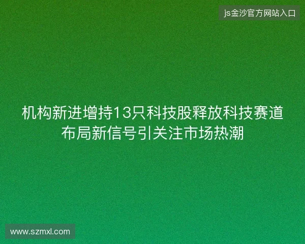 机构新进增持13只科技股释放科技赛道布局新信号引关注市场热潮 机构新进增持13只科技股释放科技赛道布局新信号引关注市场热潮