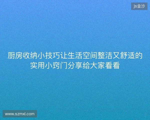 厨房收纳小技巧让生活空间整洁又舒适的实用小窍门分享给大家看看 厨房收纳小技巧让生活空间整洁又舒适的实用小窍门分享给大家看看